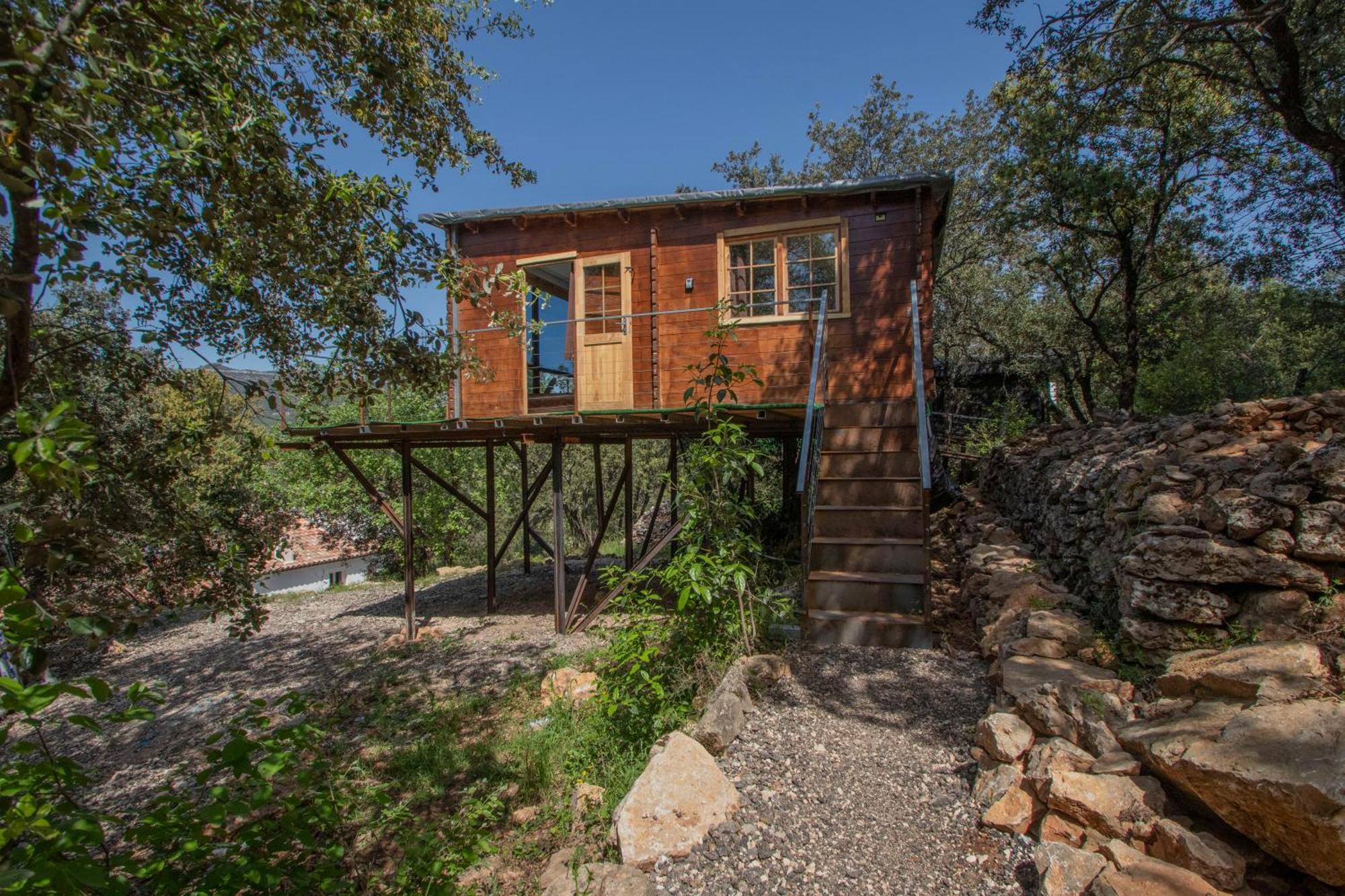 Sublime Cabane Perchee Climatise Avec Spa Et Cinema Vue Panoramique Le Mas Des Faraches Solliès-Toucas Exterior foto